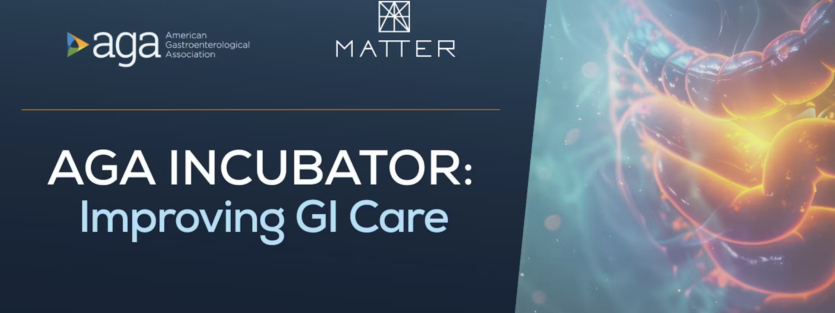 AGA Incubator: Improving GI Care